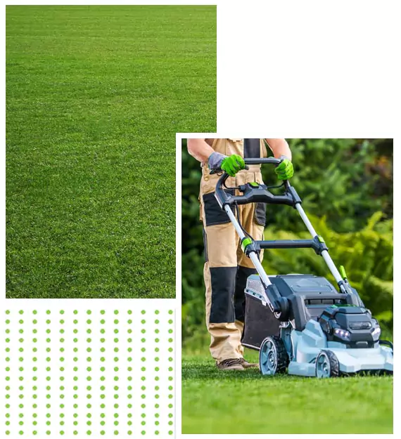 landscapng