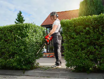 https://www.betterlawnmowing.com.au/wp-content/uploads/2019/10/hedge-triming.webp