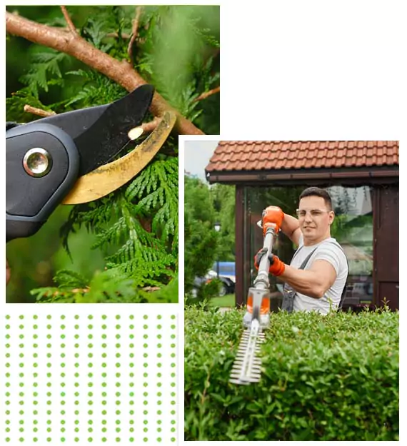 landscapng