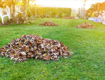 https://www.betterlawnmowing.com.au/wp-content/uploads/2019/10/rubbish-cleaning-1.webp