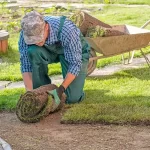person with a layer of grass