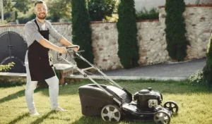 7 Organic Mulch Types For Your Beautiful Lawn