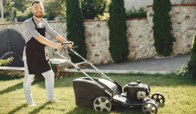 7 Organic Mulch Types For Your Beautiful Lawn