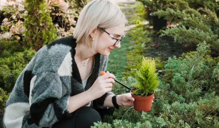 Gardening Guide: What to Plant in Australia This Spring