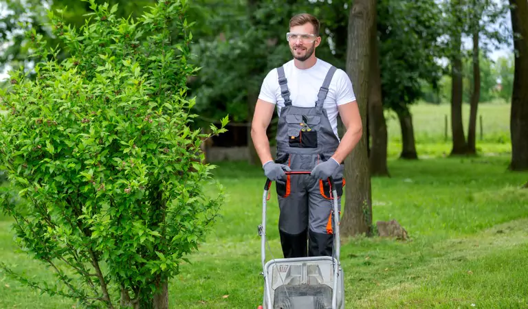 What Are The Benefits Of Hiring A Professional Lawn Care Service?